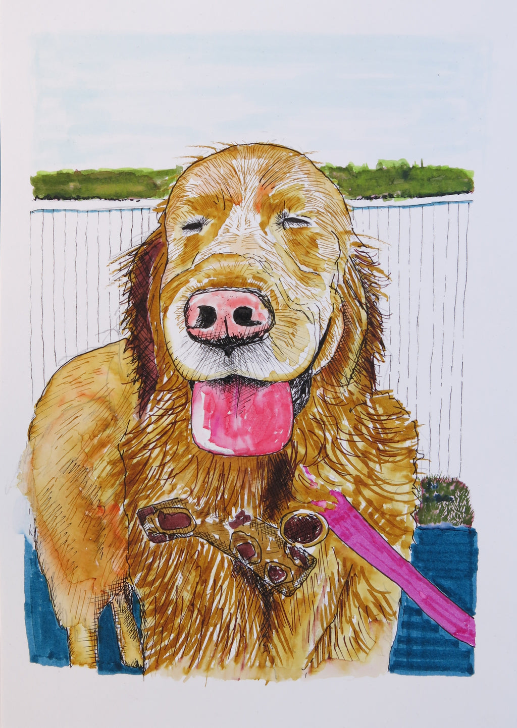 Pet Portrait Commission
