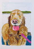 Pet Portrait Commission
